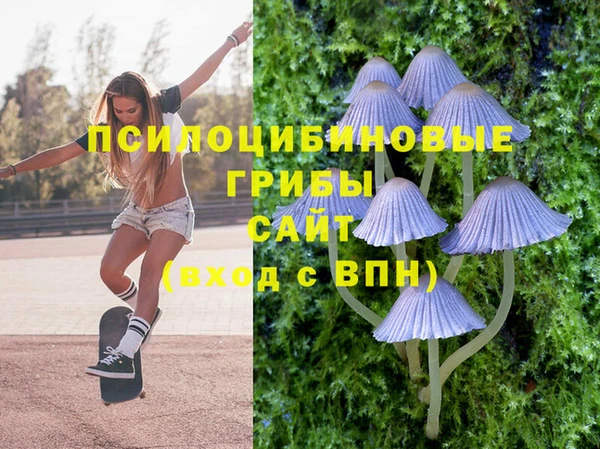 соль курить ск Бронницы